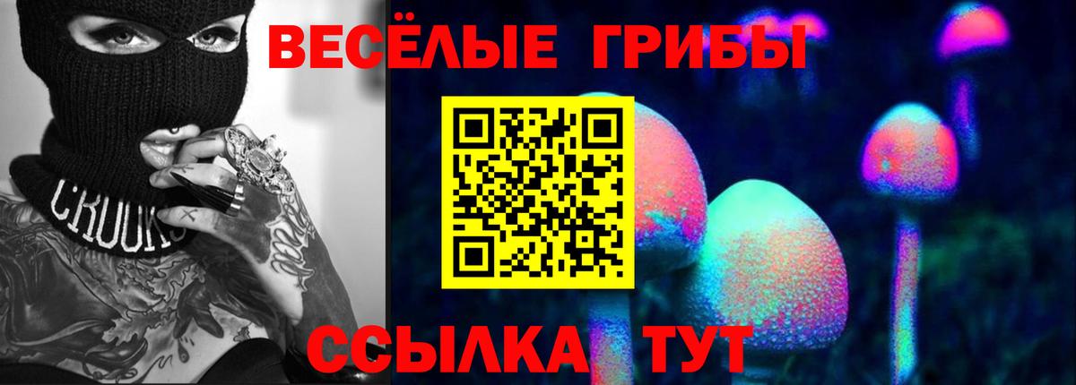 Галлюциногенные грибы Psilocybe Соликамск